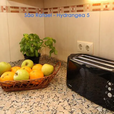 Sao Rafael - Hydrangea 5, Apt. T2 - אלבופיירה